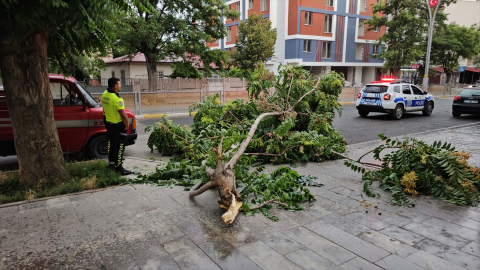 Erzincan'da fırtına çatıları uçurdu, ağaçların dallarını kırdı