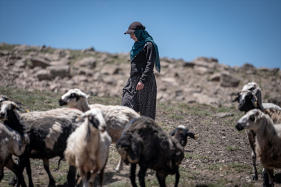 Göçer ailenin kızı Elif doğduğu yaylada şimdi öğretmenlik hayali kuruyor