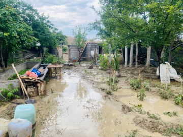 Ağrı'da sağanak sonrası oluşan sel hasara yol açtı