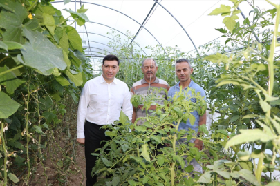 Keban Kaymakamı Furkan Atalık seraları ziyaret etti