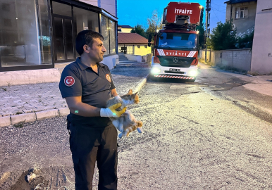 Erzurum&#039;da apartmanın çatısında mahsur kalan kediyi itfaiye kurtardı