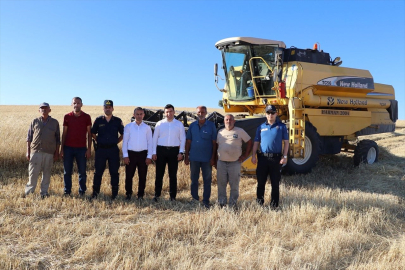 Keban Kaymakamı Atalık, buğday hasadına katıldı