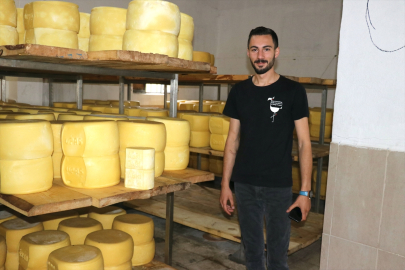 Ağrı'da kurulu tesiste günlük 20 ton süt kaşar peynirine dönüşüyor