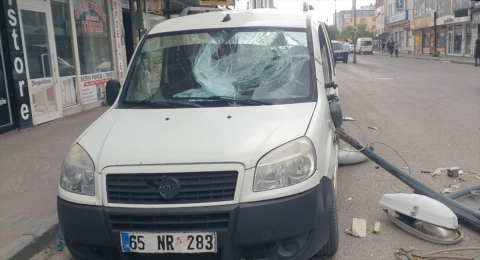 Ağrı'da rüzgar nedeniyle ağaçlar yerinden söküldü