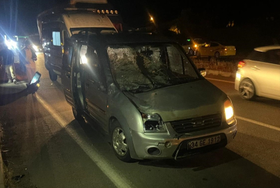 Bingöl&#039;de ineğe çarpan hafif ticari araçtaki kişi yaralandı