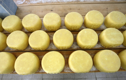 Coğrafi işaretli "Muş eski kaşarı"nın pazar alanı genişliyor