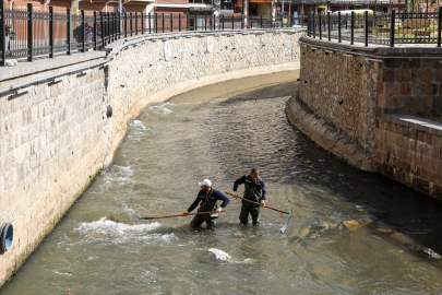 Bitlis&#039;te dere yatakları temizleniyor