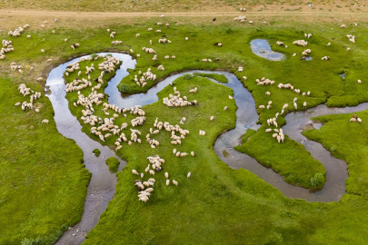 Tunceli&#039;nin 3 bin rakımdaki göl ve menderesleri hayvancılığa hayat veriyor