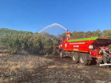 Bingöl&#039;de ormanlık alanda çıkan yangın söndürüldü