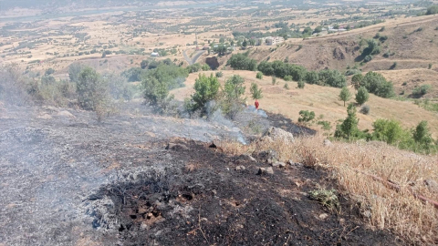Bingöl&#039;de örtü yangını ormana sıçramadan söndürüldü