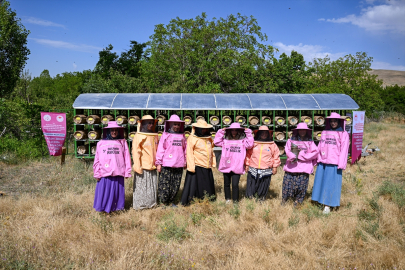 Vanlı "pembe maskeli" kadın arıcılara kovan desteği