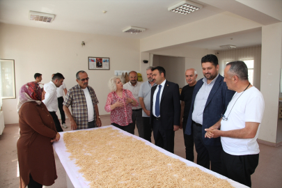 Ahlat'ta kadınlar kooperatif kurdu