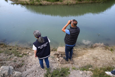 "Van&#039;ın incisi"ni avlayanlara 2 milyon 250 bin lira ceza kesildi