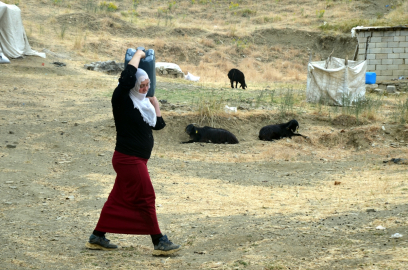 Muş'ta kadınların yayla mesaisi sürüyor