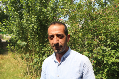 Bingöl&#039;de sahipsiz köpeğin saldırdığı çocuk yaralandı