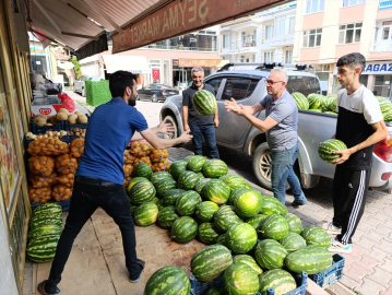 Tunceli'de hasadına başlanan Hıdıroz karpuzu tezgahlardaki yerini aldı