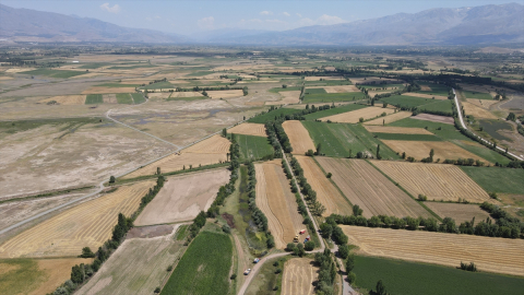 Modern tarım makineleri sayesinde Erzincan Ovası'nda hububat hasadı hızlandı