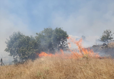 Bingöl'de ormanlık alanda çıkan yangın söndürüldü