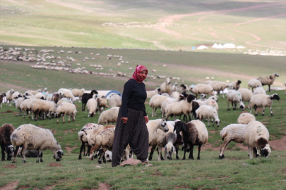 Erzurum&#039;da 2 bin 600 rakımda göçer çocuklarına Kur&#039;an-ı Kerim kursu veriliyor