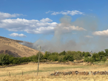 Elazığ&#039;da otluk alanda çıkan yangına ekipler müdahale ediyor