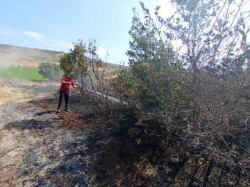 Bingöl&#039;de çıkan orman ve örtü yangınları söndürüldü
