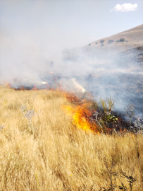 Adilcevaz&#039;da otluk alanda çıkan yangın söndürüldü