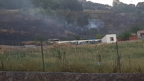 Bingöl&#039;de çıkan örtü yangını söndürüldü