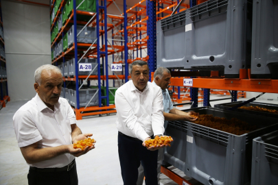 Malatya&#039;da kuru kayısı lisanslı depoları alımı sürdürüyor