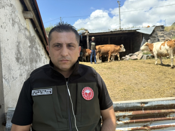 Ardahanlı genç, devlet desteğiyle büyükbaş hayvan yetiştiriyor