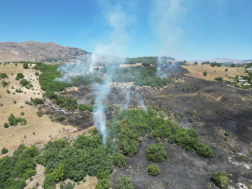 Bingöl&#039;ün 2 ilçesinde çıkan orman yangınları söndürüldü