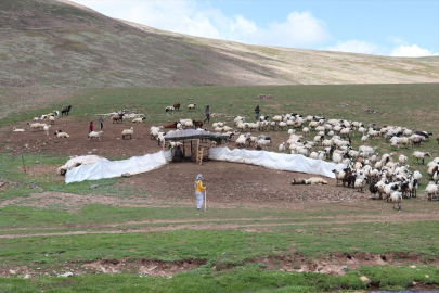Erzurum&#039;daki Dumlubaba Yaylası&#039;nda göçerlerin günlük yaşamı zorlu geçiyor