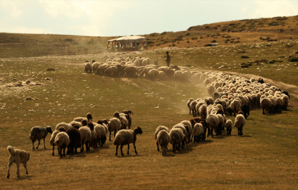 Göçer kadınların hayatı zorluklarla mücadeleyle geçiyor