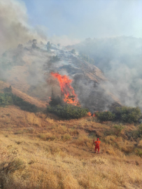 Bingöl'de çıkan orman yangını söndürüldü