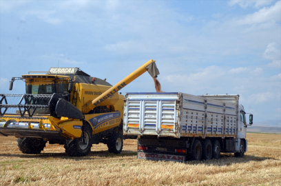 Diyarbakırlı biçerdöver operatörleri Muş&#039;taki buğday tarlalarında mesaide