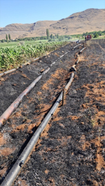 Malatya&#039;nın beş ilçesinde çıkan ot ve bahçe yangınları söndürüldü