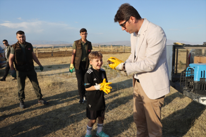 Van&#039;da tedavileri tamamlanan kuşlar doğal yaşam alanlarına bırakıldı