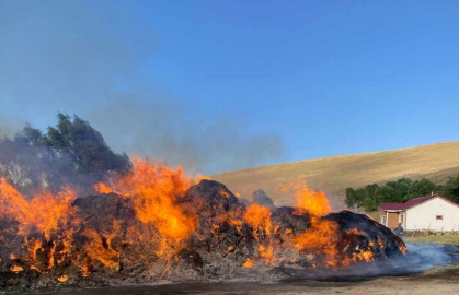 Başkale&#039;de çıkan yangında 4 bin bağ ot yandı