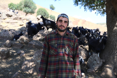 Bingöl'de veterinerler kilometrelerce yürüyüp yaylalarda küçükbaş hayvanları aşılıyor