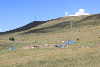 Rizeli 87 yaşındaki gezgin arıcı, sağlığını mesleğine borçlu