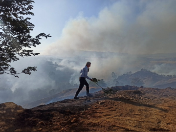 Bingöl&#039;de çıkan orman yangınına müdahale ediliyor