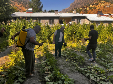 Hakkari&#039;de çiftçilere "sebze hastalıklarıyla mücadele" eğitimi verildi