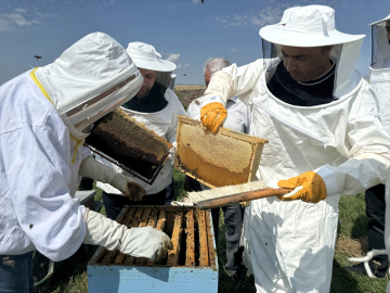 Kafkas Arısı Üretim, Eğitim ve Gen Merkezinde bal hasadı başladı