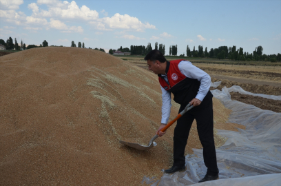 Muş'ta yüksek rekolte çiftçileri sevindirdi