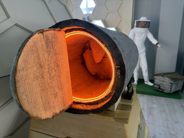 Kafkas arısı müzede tanıtılıyor