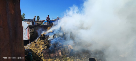 Kars&#039;ta besicinin umudu otlar, yangında kül oldu