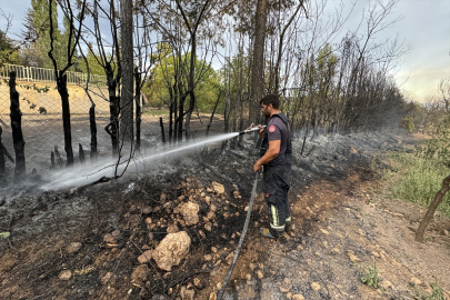 Elazığ&#039;da kırsal arazide çıkan ve yerleşim yerlerindeki bahçelere sıçrayan yangın söndürüldü