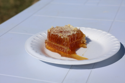 Iğdır Valisi Ercan Turan bal hasadı yaptı