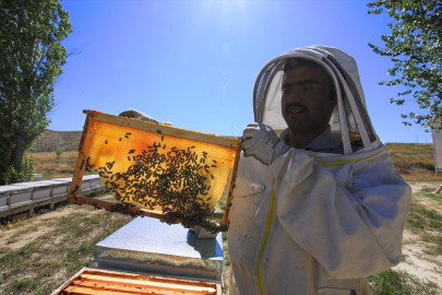 Darendeli arıcılar bu sezon kekik ve çiçek balında rekolte kaybı bekliyor