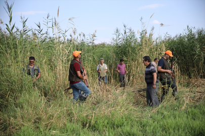 Van'da çiftçiler tarlalarındaki mahsulü yaban domuzlarından korumak için nöbet tutuyor