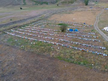 Bingöllü arıcı aile, AB tescilli balları ile Londra&#039;da altın madalya aldı